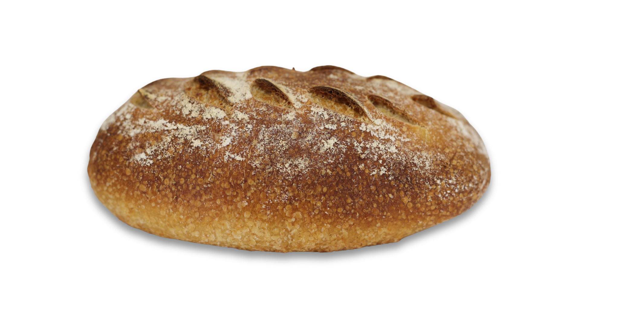 Untitled design (10)