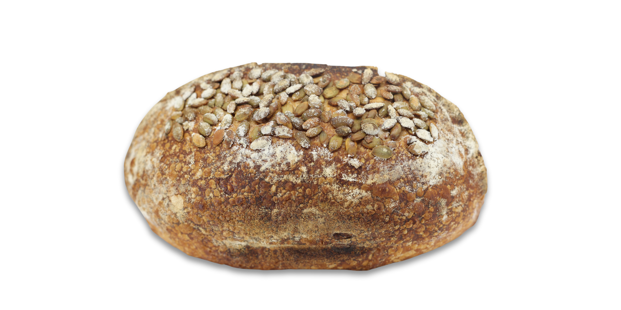 Untitled design (11)