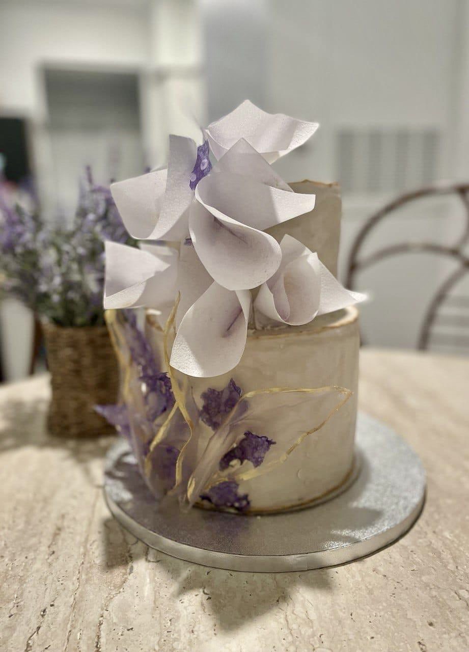 478d57c9-3c87-4836-b7bf-b058777ad179